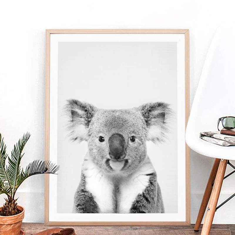 كوالا طباعة أبيض وأسود صورة قم - مراجعة Photography Zoo وسعره