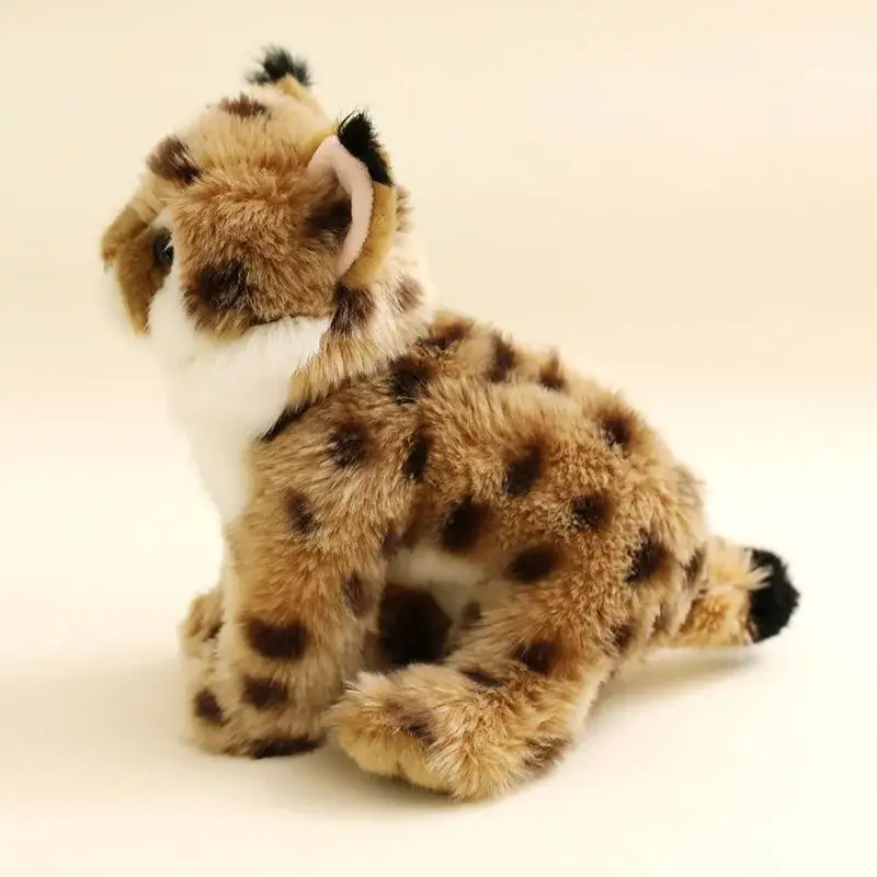 نابض بالحياة Felidae الوشق ألع - مراجعة Photography Zoo وسعره